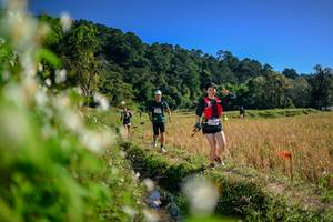 BIB: 
                            <button type="button" onclick="openModal(26575292)" class="btn btn-primary btn-sm float-right btn-popup" data-toggle="modal" data-target=".modal-high-quality">
                        <i class="fas fa-shopping-cart"></i> Add to Cart
                    </button>
                                            <button type="button" onclick="isThisMe(26575292, true)" class="btn btn-success btn-sm float-right btn-popup btn-isme hidden" data-toggle="tooltip" data-placement="bottom" title="นี่คือรูปของคุณใช่ไหม คลิกที่นี่เพื่อเอาเข้าอัลบั้ม">
                        <i class="fas fa-plus"></i> Add to album
                    </button>
                    <button type="button" onclick="isThisMe(26575292, false)" class="btn btn-warning btn-sm float-right btn-popup btn-isnotme hidden">
                        <i class="fas fa-ban"></i> Remove from album
                    </button>