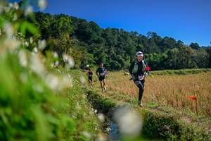 BIB: 
                            <button type="button" onclick="openModal(26573798)" class="btn btn-primary btn-sm float-right btn-popup" data-toggle="modal" data-target=".modal-high-quality">
                        <i class="fas fa-shopping-cart"></i> Add to Cart
                    </button>
                                            <button type="button" onclick="isThisMe(26573798, true)" class="btn btn-success btn-sm float-right btn-popup btn-isme hidden" data-toggle="tooltip" data-placement="bottom" title="นี่คือรูปของคุณใช่ไหม คลิกที่นี่เพื่อเอาเข้าอัลบั้ม">
                        <i class="fas fa-plus"></i> Add to album
                    </button>
                    <button type="button" onclick="isThisMe(26573798, false)" class="btn btn-warning btn-sm float-right btn-popup btn-isnotme hidden">
                        <i class="fas fa-ban"></i> Remove from album
                    </button>