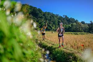 BIB: 
                            <button type="button" onclick="openModal(26571935)" class="btn btn-primary btn-sm float-right btn-popup" data-toggle="modal" data-target=".modal-high-quality">
                        <i class="fas fa-shopping-cart"></i> Add to Cart
                    </button>
                                            <button type="button" onclick="isThisMe(26571935, true)" class="btn btn-success btn-sm float-right btn-popup btn-isme hidden" data-toggle="tooltip" data-placement="bottom" title="นี่คือรูปของคุณใช่ไหม คลิกที่นี่เพื่อเอาเข้าอัลบั้ม">
                        <i class="fas fa-plus"></i> Add to album
                    </button>
                    <button type="button" onclick="isThisMe(26571935, false)" class="btn btn-warning btn-sm float-right btn-popup btn-isnotme hidden">
                        <i class="fas fa-ban"></i> Remove from album
                    </button>