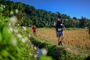 BIB: 
                            <button type="button" onclick="openModal(26575686)" class="btn btn-primary btn-sm float-right btn-popup" data-toggle="modal" data-target=".modal-high-quality">
                        <i class="fas fa-shopping-cart"></i> Add to Cart
                    </button>
                                            <button type="button" onclick="isThisMe(26575686, true)" class="btn btn-success btn-sm float-right btn-popup btn-isme hidden" data-toggle="tooltip" data-placement="bottom" title="นี่คือรูปของคุณใช่ไหม คลิกที่นี่เพื่อเอาเข้าอัลบั้ม">
                        <i class="fas fa-plus"></i> Add to album
                    </button>
                    <button type="button" onclick="isThisMe(26575686, false)" class="btn btn-warning btn-sm float-right btn-popup btn-isnotme hidden">
                        <i class="fas fa-ban"></i> Remove from album
                    </button>