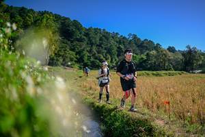 BIB: 
                            <button type="button" onclick="openModal(26575799)" class="btn btn-primary btn-sm float-right btn-popup" data-toggle="modal" data-target=".modal-high-quality">
                        <i class="fas fa-shopping-cart"></i> Add to Cart
                    </button>
                                            <button type="button" onclick="isThisMe(26575799, true)" class="btn btn-success btn-sm float-right btn-popup btn-isme hidden" data-toggle="tooltip" data-placement="bottom" title="นี่คือรูปของคุณใช่ไหม คลิกที่นี่เพื่อเอาเข้าอัลบั้ม">
                        <i class="fas fa-plus"></i> Add to album
                    </button>
                    <button type="button" onclick="isThisMe(26575799, false)" class="btn btn-warning btn-sm float-right btn-popup btn-isnotme hidden">
                        <i class="fas fa-ban"></i> Remove from album
                    </button>