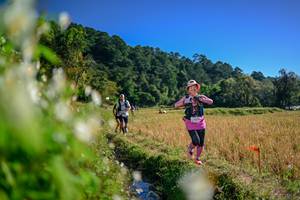 BIB: 
                            <button type="button" onclick="openModal(26573183)" class="btn btn-primary btn-sm float-right btn-popup" data-toggle="modal" data-target=".modal-high-quality">
                        <i class="fas fa-shopping-cart"></i> Add to Cart
                    </button>
                                            <button type="button" onclick="isThisMe(26573183, true)" class="btn btn-success btn-sm float-right btn-popup btn-isme hidden" data-toggle="tooltip" data-placement="bottom" title="นี่คือรูปของคุณใช่ไหม คลิกที่นี่เพื่อเอาเข้าอัลบั้ม">
                        <i class="fas fa-plus"></i> Add to album
                    </button>
                    <button type="button" onclick="isThisMe(26573183, false)" class="btn btn-warning btn-sm float-right btn-popup btn-isnotme hidden">
                        <i class="fas fa-ban"></i> Remove from album
                    </button>