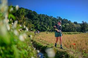 BIB: 
                            <button type="button" onclick="openModal(26572575)" class="btn btn-primary btn-sm float-right btn-popup" data-toggle="modal" data-target=".modal-high-quality">
                        <i class="fas fa-shopping-cart"></i> Add to Cart
                    </button>
                                            <button type="button" onclick="isThisMe(26572575, true)" class="btn btn-success btn-sm float-right btn-popup btn-isme hidden" data-toggle="tooltip" data-placement="bottom" title="นี่คือรูปของคุณใช่ไหม คลิกที่นี่เพื่อเอาเข้าอัลบั้ม">
                        <i class="fas fa-plus"></i> Add to album
                    </button>
                    <button type="button" onclick="isThisMe(26572575, false)" class="btn btn-warning btn-sm float-right btn-popup btn-isnotme hidden">
                        <i class="fas fa-ban"></i> Remove from album
                    </button>