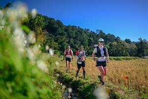 BIB: 
                            <button type="button" onclick="openModal(26572275)" class="btn btn-primary btn-sm float-right btn-popup" data-toggle="modal" data-target=".modal-high-quality">
                        <i class="fas fa-shopping-cart"></i> Add to Cart
                    </button>
                                            <button type="button" onclick="isThisMe(26572275, true)" class="btn btn-success btn-sm float-right btn-popup btn-isme hidden" data-toggle="tooltip" data-placement="bottom" title="นี่คือรูปของคุณใช่ไหม คลิกที่นี่เพื่อเอาเข้าอัลบั้ม">
                        <i class="fas fa-plus"></i> Add to album
                    </button>
                    <button type="button" onclick="isThisMe(26572275, false)" class="btn btn-warning btn-sm float-right btn-popup btn-isnotme hidden">
                        <i class="fas fa-ban"></i> Remove from album
                    </button>