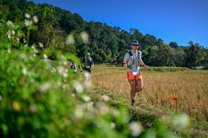 BIB: 
                            <button type="button" onclick="openModal(26581445)" class="btn btn-primary btn-sm float-right btn-popup" data-toggle="modal" data-target=".modal-high-quality">
                        <i class="fas fa-shopping-cart"></i> Add to Cart
                    </button>
                                            <button type="button" onclick="isThisMe(26581445, true)" class="btn btn-success btn-sm float-right btn-popup btn-isme hidden" data-toggle="tooltip" data-placement="bottom" title="นี่คือรูปของคุณใช่ไหม คลิกที่นี่เพื่อเอาเข้าอัลบั้ม">
                        <i class="fas fa-plus"></i> Add to album
                    </button>
                    <button type="button" onclick="isThisMe(26581445, false)" class="btn btn-warning btn-sm float-right btn-popup btn-isnotme hidden">
                        <i class="fas fa-ban"></i> Remove from album
                    </button>