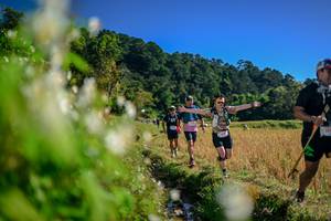 BIB: 
                            <button type="button" onclick="openModal(26572685)" class="btn btn-primary btn-sm float-right btn-popup" data-toggle="modal" data-target=".modal-high-quality">
                        <i class="fas fa-shopping-cart"></i> Add to Cart
                    </button>
                                            <button type="button" onclick="isThisMe(26572685, true)" class="btn btn-success btn-sm float-right btn-popup btn-isme hidden" data-toggle="tooltip" data-placement="bottom" title="นี่คือรูปของคุณใช่ไหม คลิกที่นี่เพื่อเอาเข้าอัลบั้ม">
                        <i class="fas fa-plus"></i> Add to album
                    </button>
                    <button type="button" onclick="isThisMe(26572685, false)" class="btn btn-warning btn-sm float-right btn-popup btn-isnotme hidden">
                        <i class="fas fa-ban"></i> Remove from album
                    </button>