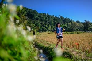 BIB: 
                            <button type="button" onclick="openModal(26574432)" class="btn btn-primary btn-sm float-right btn-popup" data-toggle="modal" data-target=".modal-high-quality">
                        <i class="fas fa-shopping-cart"></i> Add to Cart
                    </button>
                                            <button type="button" onclick="isThisMe(26574432, true)" class="btn btn-success btn-sm float-right btn-popup btn-isme hidden" data-toggle="tooltip" data-placement="bottom" title="นี่คือรูปของคุณใช่ไหม คลิกที่นี่เพื่อเอาเข้าอัลบั้ม">
                        <i class="fas fa-plus"></i> Add to album
                    </button>
                    <button type="button" onclick="isThisMe(26574432, false)" class="btn btn-warning btn-sm float-right btn-popup btn-isnotme hidden">
                        <i class="fas fa-ban"></i> Remove from album
                    </button>