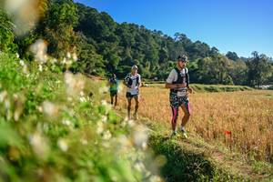 BIB: 
                            <button type="button" onclick="openModal(26570863)" class="btn btn-primary btn-sm float-right btn-popup" data-toggle="modal" data-target=".modal-high-quality">
                        <i class="fas fa-shopping-cart"></i> Add to Cart
                    </button>
                                            <button type="button" onclick="isThisMe(26570863, true)" class="btn btn-success btn-sm float-right btn-popup btn-isme hidden" data-toggle="tooltip" data-placement="bottom" title="นี่คือรูปของคุณใช่ไหม คลิกที่นี่เพื่อเอาเข้าอัลบั้ม">
                        <i class="fas fa-plus"></i> Add to album
                    </button>
                    <button type="button" onclick="isThisMe(26570863, false)" class="btn btn-warning btn-sm float-right btn-popup btn-isnotme hidden">
                        <i class="fas fa-ban"></i> Remove from album
                    </button>