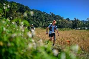 BIB: 
                            <button type="button" onclick="openModal(26581548)" class="btn btn-primary btn-sm float-right btn-popup" data-toggle="modal" data-target=".modal-high-quality">
                        <i class="fas fa-shopping-cart"></i> Add to Cart
                    </button>
                                            <button type="button" onclick="isThisMe(26581548, true)" class="btn btn-success btn-sm float-right btn-popup btn-isme hidden" data-toggle="tooltip" data-placement="bottom" title="นี่คือรูปของคุณใช่ไหม คลิกที่นี่เพื่อเอาเข้าอัลบั้ม">
                        <i class="fas fa-plus"></i> Add to album
                    </button>
                    <button type="button" onclick="isThisMe(26581548, false)" class="btn btn-warning btn-sm float-right btn-popup btn-isnotme hidden">
                        <i class="fas fa-ban"></i> Remove from album
                    </button>