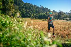 BIB: 
                            <button type="button" onclick="openModal(26570262)" class="btn btn-primary btn-sm float-right btn-popup" data-toggle="modal" data-target=".modal-high-quality">
                        <i class="fas fa-shopping-cart"></i> Add to Cart
                    </button>
                                            <button type="button" onclick="isThisMe(26570262, true)" class="btn btn-success btn-sm float-right btn-popup btn-isme hidden" data-toggle="tooltip" data-placement="bottom" title="นี่คือรูปของคุณใช่ไหม คลิกที่นี่เพื่อเอาเข้าอัลบั้ม">
                        <i class="fas fa-plus"></i> Add to album
                    </button>
                    <button type="button" onclick="isThisMe(26570262, false)" class="btn btn-warning btn-sm float-right btn-popup btn-isnotme hidden">
                        <i class="fas fa-ban"></i> Remove from album
                    </button>