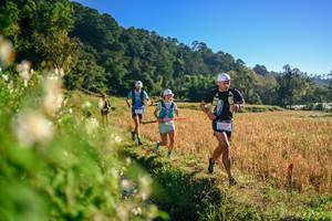 BIB: 
                            <button type="button" onclick="openModal(26570463)" class="btn btn-primary btn-sm float-right btn-popup" data-toggle="modal" data-target=".modal-high-quality">
                        <i class="fas fa-shopping-cart"></i> Add to Cart
                    </button>
                                            <button type="button" onclick="isThisMe(26570463, true)" class="btn btn-success btn-sm float-right btn-popup btn-isme hidden" data-toggle="tooltip" data-placement="bottom" title="นี่คือรูปของคุณใช่ไหม คลิกที่นี่เพื่อเอาเข้าอัลบั้ม">
                        <i class="fas fa-plus"></i> Add to album
                    </button>
                    <button type="button" onclick="isThisMe(26570463, false)" class="btn btn-warning btn-sm float-right btn-popup btn-isnotme hidden">
                        <i class="fas fa-ban"></i> Remove from album
                    </button>