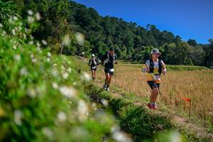 BIB: 
                            <button type="button" onclick="openModal(26582388)" class="btn btn-primary btn-sm float-right btn-popup" data-toggle="modal" data-target=".modal-high-quality">
                        <i class="fas fa-shopping-cart"></i> Add to Cart
                    </button>
                                            <button type="button" onclick="isThisMe(26582388, true)" class="btn btn-success btn-sm float-right btn-popup btn-isme hidden" data-toggle="tooltip" data-placement="bottom" title="นี่คือรูปของคุณใช่ไหม คลิกที่นี่เพื่อเอาเข้าอัลบั้ม">
                        <i class="fas fa-plus"></i> Add to album
                    </button>
                    <button type="button" onclick="isThisMe(26582388, false)" class="btn btn-warning btn-sm float-right btn-popup btn-isnotme hidden">
                        <i class="fas fa-ban"></i> Remove from album
                    </button>