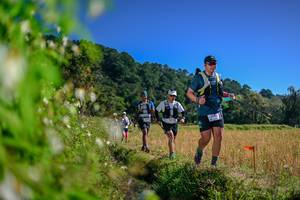 BIB: 
                            <button type="button" onclick="openModal(26580609)" class="btn btn-primary btn-sm float-right btn-popup" data-toggle="modal" data-target=".modal-high-quality">
                        <i class="fas fa-shopping-cart"></i> Add to Cart
                    </button>
                                            <button type="button" onclick="isThisMe(26580609, true)" class="btn btn-success btn-sm float-right btn-popup btn-isme hidden" data-toggle="tooltip" data-placement="bottom" title="นี่คือรูปของคุณใช่ไหม คลิกที่นี่เพื่อเอาเข้าอัลบั้ม">
                        <i class="fas fa-plus"></i> Add to album
                    </button>
                    <button type="button" onclick="isThisMe(26580609, false)" class="btn btn-warning btn-sm float-right btn-popup btn-isnotme hidden">
                        <i class="fas fa-ban"></i> Remove from album
                    </button>