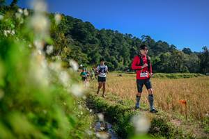 BIB: 
                            <button type="button" onclick="openModal(26575132)" class="btn btn-primary btn-sm float-right btn-popup" data-toggle="modal" data-target=".modal-high-quality">
                        <i class="fas fa-shopping-cart"></i> Add to Cart
                    </button>
                                            <button type="button" onclick="isThisMe(26575132, true)" class="btn btn-success btn-sm float-right btn-popup btn-isme hidden" data-toggle="tooltip" data-placement="bottom" title="นี่คือรูปของคุณใช่ไหม คลิกที่นี่เพื่อเอาเข้าอัลบั้ม">
                        <i class="fas fa-plus"></i> Add to album
                    </button>
                    <button type="button" onclick="isThisMe(26575132, false)" class="btn btn-warning btn-sm float-right btn-popup btn-isnotme hidden">
                        <i class="fas fa-ban"></i> Remove from album
                    </button>