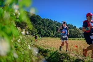 BIB: 
                            <button type="button" onclick="openModal(26581082)" class="btn btn-primary btn-sm float-right btn-popup" data-toggle="modal" data-target=".modal-high-quality">
                        <i class="fas fa-shopping-cart"></i> Add to Cart
                    </button>
                                            <button type="button" onclick="isThisMe(26581082, true)" class="btn btn-success btn-sm float-right btn-popup btn-isme hidden" data-toggle="tooltip" data-placement="bottom" title="นี่คือรูปของคุณใช่ไหม คลิกที่นี่เพื่อเอาเข้าอัลบั้ม">
                        <i class="fas fa-plus"></i> Add to album
                    </button>
                    <button type="button" onclick="isThisMe(26581082, false)" class="btn btn-warning btn-sm float-right btn-popup btn-isnotme hidden">
                        <i class="fas fa-ban"></i> Remove from album
                    </button>