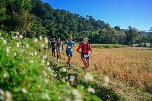 BIB: 
                            <button type="button" onclick="openModal(26571340)" class="btn btn-primary btn-sm float-right btn-popup" data-toggle="modal" data-target=".modal-high-quality">
                        <i class="fas fa-shopping-cart"></i> Add to Cart
                    </button>
                                            <button type="button" onclick="isThisMe(26571340, true)" class="btn btn-success btn-sm float-right btn-popup btn-isme hidden" data-toggle="tooltip" data-placement="bottom" title="นี่คือรูปของคุณใช่ไหม คลิกที่นี่เพื่อเอาเข้าอัลบั้ม">
                        <i class="fas fa-plus"></i> Add to album
                    </button>
                    <button type="button" onclick="isThisMe(26571340, false)" class="btn btn-warning btn-sm float-right btn-popup btn-isnotme hidden">
                        <i class="fas fa-ban"></i> Remove from album
                    </button>