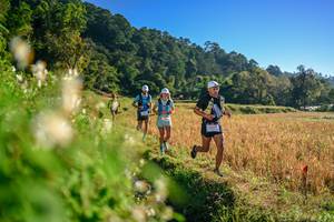 BIB: 
                            <button type="button" onclick="openModal(26570459)" class="btn btn-primary btn-sm float-right btn-popup" data-toggle="modal" data-target=".modal-high-quality">
                        <i class="fas fa-shopping-cart"></i> Add to Cart
                    </button>
                                            <button type="button" onclick="isThisMe(26570459, true)" class="btn btn-success btn-sm float-right btn-popup btn-isme hidden" data-toggle="tooltip" data-placement="bottom" title="นี่คือรูปของคุณใช่ไหม คลิกที่นี่เพื่อเอาเข้าอัลบั้ม">
                        <i class="fas fa-plus"></i> Add to album
                    </button>
                    <button type="button" onclick="isThisMe(26570459, false)" class="btn btn-warning btn-sm float-right btn-popup btn-isnotme hidden">
                        <i class="fas fa-ban"></i> Remove from album
                    </button>