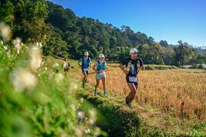 BIB: 
                            <button type="button" onclick="openModal(26570461)" class="btn btn-primary btn-sm float-right btn-popup" data-toggle="modal" data-target=".modal-high-quality">
                        <i class="fas fa-shopping-cart"></i> Add to Cart
                    </button>
                                            <button type="button" onclick="isThisMe(26570461, true)" class="btn btn-success btn-sm float-right btn-popup btn-isme hidden" data-toggle="tooltip" data-placement="bottom" title="นี่คือรูปของคุณใช่ไหม คลิกที่นี่เพื่อเอาเข้าอัลบั้ม">
                        <i class="fas fa-plus"></i> Add to album
                    </button>
                    <button type="button" onclick="isThisMe(26570461, false)" class="btn btn-warning btn-sm float-right btn-popup btn-isnotme hidden">
                        <i class="fas fa-ban"></i> Remove from album
                    </button>