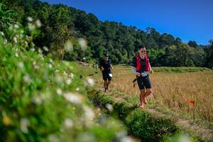 BIB: 
                            <button type="button" onclick="openModal(26582012)" class="btn btn-primary btn-sm float-right btn-popup" data-toggle="modal" data-target=".modal-high-quality">
                        <i class="fas fa-shopping-cart"></i> Add to Cart
                    </button>
                                            <button type="button" onclick="isThisMe(26582012, true)" class="btn btn-success btn-sm float-right btn-popup btn-isme hidden" data-toggle="tooltip" data-placement="bottom" title="นี่คือรูปของคุณใช่ไหม คลิกที่นี่เพื่อเอาเข้าอัลบั้ม">
                        <i class="fas fa-plus"></i> Add to album
                    </button>
                    <button type="button" onclick="isThisMe(26582012, false)" class="btn btn-warning btn-sm float-right btn-popup btn-isnotme hidden">
                        <i class="fas fa-ban"></i> Remove from album
                    </button>