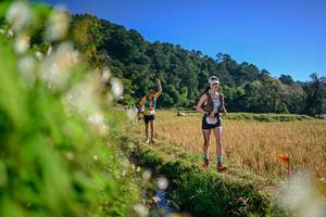 BIB: 
                            <button type="button" onclick="openModal(26571937)" class="btn btn-primary btn-sm float-right btn-popup" data-toggle="modal" data-target=".modal-high-quality">
                        <i class="fas fa-shopping-cart"></i> Add to Cart
                    </button>
                                            <button type="button" onclick="isThisMe(26571937, true)" class="btn btn-success btn-sm float-right btn-popup btn-isme hidden" data-toggle="tooltip" data-placement="bottom" title="นี่คือรูปของคุณใช่ไหม คลิกที่นี่เพื่อเอาเข้าอัลบั้ม">
                        <i class="fas fa-plus"></i> Add to album
                    </button>
                    <button type="button" onclick="isThisMe(26571937, false)" class="btn btn-warning btn-sm float-right btn-popup btn-isnotme hidden">
                        <i class="fas fa-ban"></i> Remove from album
                    </button>