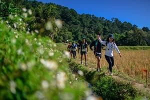 BIB: 
                            <button type="button" onclick="openModal(26583154)" class="btn btn-primary btn-sm float-right btn-popup" data-toggle="modal" data-target=".modal-high-quality">
                        <i class="fas fa-shopping-cart"></i> Add to Cart
                    </button>
                                            <button type="button" onclick="isThisMe(26583154, true)" class="btn btn-success btn-sm float-right btn-popup btn-isme hidden" data-toggle="tooltip" data-placement="bottom" title="นี่คือรูปของคุณใช่ไหม คลิกที่นี่เพื่อเอาเข้าอัลบั้ม">
                        <i class="fas fa-plus"></i> Add to album
                    </button>
                    <button type="button" onclick="isThisMe(26583154, false)" class="btn btn-warning btn-sm float-right btn-popup btn-isnotme hidden">
                        <i class="fas fa-ban"></i> Remove from album
                    </button>