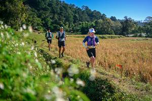 BIB: 
                            <button type="button" onclick="openModal(26571418)" class="btn btn-primary btn-sm float-right btn-popup" data-toggle="modal" data-target=".modal-high-quality">
                        <i class="fas fa-shopping-cart"></i> Add to Cart
                    </button>
                                            <button type="button" onclick="isThisMe(26571418, true)" class="btn btn-success btn-sm float-right btn-popup btn-isme hidden" data-toggle="tooltip" data-placement="bottom" title="นี่คือรูปของคุณใช่ไหม คลิกที่นี่เพื่อเอาเข้าอัลบั้ม">
                        <i class="fas fa-plus"></i> Add to album
                    </button>
                    <button type="button" onclick="isThisMe(26571418, false)" class="btn btn-warning btn-sm float-right btn-popup btn-isnotme hidden">
                        <i class="fas fa-ban"></i> Remove from album
                    </button>