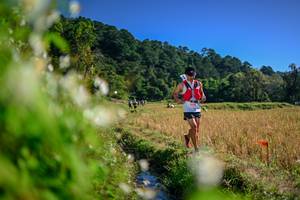 BIB: 
                            <button type="button" onclick="openModal(26573898)" class="btn btn-primary btn-sm float-right btn-popup" data-toggle="modal" data-target=".modal-high-quality">
                        <i class="fas fa-shopping-cart"></i> Add to Cart
                    </button>
                                            <button type="button" onclick="isThisMe(26573898, true)" class="btn btn-success btn-sm float-right btn-popup btn-isme hidden" data-toggle="tooltip" data-placement="bottom" title="นี่คือรูปของคุณใช่ไหม คลิกที่นี่เพื่อเอาเข้าอัลบั้ม">
                        <i class="fas fa-plus"></i> Add to album
                    </button>
                    <button type="button" onclick="isThisMe(26573898, false)" class="btn btn-warning btn-sm float-right btn-popup btn-isnotme hidden">
                        <i class="fas fa-ban"></i> Remove from album
                    </button>