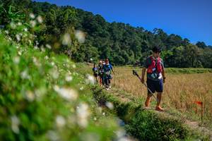 BIB: 
                            <button type="button" onclick="openModal(26583029)" class="btn btn-primary btn-sm float-right btn-popup" data-toggle="modal" data-target=".modal-high-quality">
                        <i class="fas fa-shopping-cart"></i> Add to Cart
                    </button>
                                            <button type="button" onclick="isThisMe(26583029, true)" class="btn btn-success btn-sm float-right btn-popup btn-isme hidden" data-toggle="tooltip" data-placement="bottom" title="นี่คือรูปของคุณใช่ไหม คลิกที่นี่เพื่อเอาเข้าอัลบั้ม">
                        <i class="fas fa-plus"></i> Add to album
                    </button>
                    <button type="button" onclick="isThisMe(26583029, false)" class="btn btn-warning btn-sm float-right btn-popup btn-isnotme hidden">
                        <i class="fas fa-ban"></i> Remove from album
                    </button>