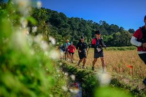 BIB: 
                            <button type="button" onclick="openModal(26574619)" class="btn btn-primary btn-sm float-right btn-popup" data-toggle="modal" data-target=".modal-high-quality">
                        <i class="fas fa-shopping-cart"></i> Add to Cart
                    </button>
                                            <button type="button" onclick="isThisMe(26574619, true)" class="btn btn-success btn-sm float-right btn-popup btn-isme hidden" data-toggle="tooltip" data-placement="bottom" title="นี่คือรูปของคุณใช่ไหม คลิกที่นี่เพื่อเอาเข้าอัลบั้ม">
                        <i class="fas fa-plus"></i> Add to album
                    </button>
                    <button type="button" onclick="isThisMe(26574619, false)" class="btn btn-warning btn-sm float-right btn-popup btn-isnotme hidden">
                        <i class="fas fa-ban"></i> Remove from album
                    </button>