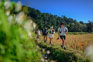 BIB: 
                            <button type="button" onclick="openModal(26572068)" class="btn btn-primary btn-sm float-right btn-popup" data-toggle="modal" data-target=".modal-high-quality">
                        <i class="fas fa-shopping-cart"></i> Add to Cart
                    </button>
                                            <button type="button" onclick="isThisMe(26572068, true)" class="btn btn-success btn-sm float-right btn-popup btn-isme hidden" data-toggle="tooltip" data-placement="bottom" title="นี่คือรูปของคุณใช่ไหม คลิกที่นี่เพื่อเอาเข้าอัลบั้ม">
                        <i class="fas fa-plus"></i> Add to album
                    </button>
                    <button type="button" onclick="isThisMe(26572068, false)" class="btn btn-warning btn-sm float-right btn-popup btn-isnotme hidden">
                        <i class="fas fa-ban"></i> Remove from album
                    </button>