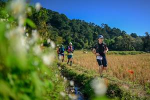 BIB: 
                            <button type="button" onclick="openModal(26572818)" class="btn btn-primary btn-sm float-right btn-popup" data-toggle="modal" data-target=".modal-high-quality">
                        <i class="fas fa-shopping-cart"></i> Add to Cart
                    </button>
                                            <button type="button" onclick="isThisMe(26572818, true)" class="btn btn-success btn-sm float-right btn-popup btn-isme hidden" data-toggle="tooltip" data-placement="bottom" title="นี่คือรูปของคุณใช่ไหม คลิกที่นี่เพื่อเอาเข้าอัลบั้ม">
                        <i class="fas fa-plus"></i> Add to album
                    </button>
                    <button type="button" onclick="isThisMe(26572818, false)" class="btn btn-warning btn-sm float-right btn-popup btn-isnotme hidden">
                        <i class="fas fa-ban"></i> Remove from album
                    </button>