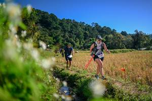 BIB: 
                            <button type="button" onclick="openModal(26574557)" class="btn btn-primary btn-sm float-right btn-popup" data-toggle="modal" data-target=".modal-high-quality">
                        <i class="fas fa-shopping-cart"></i> Add to Cart
                    </button>
                                            <button type="button" onclick="isThisMe(26574557, true)" class="btn btn-success btn-sm float-right btn-popup btn-isme hidden" data-toggle="tooltip" data-placement="bottom" title="นี่คือรูปของคุณใช่ไหม คลิกที่นี่เพื่อเอาเข้าอัลบั้ม">
                        <i class="fas fa-plus"></i> Add to album
                    </button>
                    <button type="button" onclick="isThisMe(26574557, false)" class="btn btn-warning btn-sm float-right btn-popup btn-isnotme hidden">
                        <i class="fas fa-ban"></i> Remove from album
                    </button>