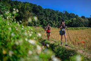 BIB: 
                            <button type="button" onclick="openModal(26581864)" class="btn btn-primary btn-sm float-right btn-popup" data-toggle="modal" data-target=".modal-high-quality">
                        <i class="fas fa-shopping-cart"></i> Add to Cart
                    </button>
                                            <button type="button" onclick="isThisMe(26581864, true)" class="btn btn-success btn-sm float-right btn-popup btn-isme hidden" data-toggle="tooltip" data-placement="bottom" title="นี่คือรูปของคุณใช่ไหม คลิกที่นี่เพื่อเอาเข้าอัลบั้ม">
                        <i class="fas fa-plus"></i> Add to album
                    </button>
                    <button type="button" onclick="isThisMe(26581864, false)" class="btn btn-warning btn-sm float-right btn-popup btn-isnotme hidden">
                        <i class="fas fa-ban"></i> Remove from album
                    </button>