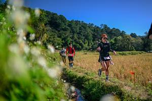 BIB: 
                            <button type="button" onclick="openModal(26575119)" class="btn btn-primary btn-sm float-right btn-popup" data-toggle="modal" data-target=".modal-high-quality">
                        <i class="fas fa-shopping-cart"></i> Add to Cart
                    </button>
                                            <button type="button" onclick="isThisMe(26575119, true)" class="btn btn-success btn-sm float-right btn-popup btn-isme hidden" data-toggle="tooltip" data-placement="bottom" title="นี่คือรูปของคุณใช่ไหม คลิกที่นี่เพื่อเอาเข้าอัลบั้ม">
                        <i class="fas fa-plus"></i> Add to album
                    </button>
                    <button type="button" onclick="isThisMe(26575119, false)" class="btn btn-warning btn-sm float-right btn-popup btn-isnotme hidden">
                        <i class="fas fa-ban"></i> Remove from album
                    </button>