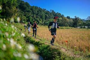 BIB: 
                            <button type="button" onclick="openModal(26576436)" class="btn btn-primary btn-sm float-right btn-popup" data-toggle="modal" data-target=".modal-high-quality">
                        <i class="fas fa-shopping-cart"></i> Add to Cart
                    </button>
                                            <button type="button" onclick="isThisMe(26576436, true)" class="btn btn-success btn-sm float-right btn-popup btn-isme hidden" data-toggle="tooltip" data-placement="bottom" title="นี่คือรูปของคุณใช่ไหม คลิกที่นี่เพื่อเอาเข้าอัลบั้ม">
                        <i class="fas fa-plus"></i> Add to album
                    </button>
                    <button type="button" onclick="isThisMe(26576436, false)" class="btn btn-warning btn-sm float-right btn-popup btn-isnotme hidden">
                        <i class="fas fa-ban"></i> Remove from album
                    </button>