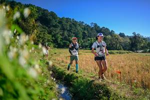 BIB: 
                            <button type="button" onclick="openModal(26571683)" class="btn btn-primary btn-sm float-right btn-popup" data-toggle="modal" data-target=".modal-high-quality">
                        <i class="fas fa-shopping-cart"></i> Add to Cart
                    </button>
                                            <button type="button" onclick="isThisMe(26571683, true)" class="btn btn-success btn-sm float-right btn-popup btn-isme hidden" data-toggle="tooltip" data-placement="bottom" title="นี่คือรูปของคุณใช่ไหม คลิกที่นี่เพื่อเอาเข้าอัลบั้ม">
                        <i class="fas fa-plus"></i> Add to album
                    </button>
                    <button type="button" onclick="isThisMe(26571683, false)" class="btn btn-warning btn-sm float-right btn-popup btn-isnotme hidden">
                        <i class="fas fa-ban"></i> Remove from album
                    </button>