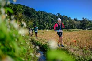 BIB: 
                            <button type="button" onclick="openModal(26574229)" class="btn btn-primary btn-sm float-right btn-popup" data-toggle="modal" data-target=".modal-high-quality">
                        <i class="fas fa-shopping-cart"></i> Add to Cart
                    </button>
                                            <button type="button" onclick="isThisMe(26574229, true)" class="btn btn-success btn-sm float-right btn-popup btn-isme hidden" data-toggle="tooltip" data-placement="bottom" title="นี่คือรูปของคุณใช่ไหม คลิกที่นี่เพื่อเอาเข้าอัลบั้ม">
                        <i class="fas fa-plus"></i> Add to album
                    </button>
                    <button type="button" onclick="isThisMe(26574229, false)" class="btn btn-warning btn-sm float-right btn-popup btn-isnotme hidden">
                        <i class="fas fa-ban"></i> Remove from album
                    </button>