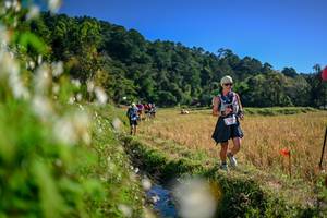 BIB: 
                            <button type="button" onclick="openModal(26572625)" class="btn btn-primary btn-sm float-right btn-popup" data-toggle="modal" data-target=".modal-high-quality">
                        <i class="fas fa-shopping-cart"></i> Add to Cart
                    </button>
                                            <button type="button" onclick="isThisMe(26572625, true)" class="btn btn-success btn-sm float-right btn-popup btn-isme hidden" data-toggle="tooltip" data-placement="bottom" title="นี่คือรูปของคุณใช่ไหม คลิกที่นี่เพื่อเอาเข้าอัลบั้ม">
                        <i class="fas fa-plus"></i> Add to album
                    </button>
                    <button type="button" onclick="isThisMe(26572625, false)" class="btn btn-warning btn-sm float-right btn-popup btn-isnotme hidden">
                        <i class="fas fa-ban"></i> Remove from album
                    </button>