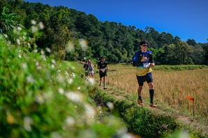 BIB: 
                            <button type="button" onclick="openModal(26582142)" class="btn btn-primary btn-sm float-right btn-popup" data-toggle="modal" data-target=".modal-high-quality">
                        <i class="fas fa-shopping-cart"></i> Add to Cart
                    </button>
                                            <button type="button" onclick="isThisMe(26582142, true)" class="btn btn-success btn-sm float-right btn-popup btn-isme hidden" data-toggle="tooltip" data-placement="bottom" title="นี่คือรูปของคุณใช่ไหม คลิกที่นี่เพื่อเอาเข้าอัลบั้ม">
                        <i class="fas fa-plus"></i> Add to album
                    </button>
                    <button type="button" onclick="isThisMe(26582142, false)" class="btn btn-warning btn-sm float-right btn-popup btn-isnotme hidden">
                        <i class="fas fa-ban"></i> Remove from album
                    </button>