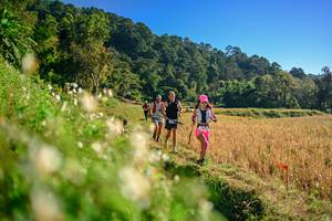 BIB: 
                            <button type="button" onclick="openModal(26570644)" class="btn btn-primary btn-sm float-right btn-popup" data-toggle="modal" data-target=".modal-high-quality">
                        <i class="fas fa-shopping-cart"></i> Add to Cart
                    </button>
                                            <button type="button" onclick="isThisMe(26570644, true)" class="btn btn-success btn-sm float-right btn-popup btn-isme hidden" data-toggle="tooltip" data-placement="bottom" title="นี่คือรูปของคุณใช่ไหม คลิกที่นี่เพื่อเอาเข้าอัลบั้ม">
                        <i class="fas fa-plus"></i> Add to album
                    </button>
                    <button type="button" onclick="isThisMe(26570644, false)" class="btn btn-warning btn-sm float-right btn-popup btn-isnotme hidden">
                        <i class="fas fa-ban"></i> Remove from album
                    </button>