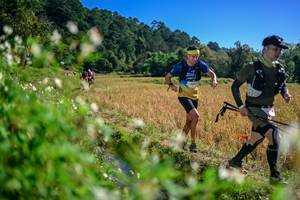 BIB: 
                            <button type="button" onclick="openModal(26579545)" class="btn btn-primary btn-sm float-right btn-popup" data-toggle="modal" data-target=".modal-high-quality">
                        <i class="fas fa-shopping-cart"></i> Add to Cart
                    </button>
                                            <button type="button" onclick="isThisMe(26579545, true)" class="btn btn-success btn-sm float-right btn-popup btn-isme hidden" data-toggle="tooltip" data-placement="bottom" title="นี่คือรูปของคุณใช่ไหม คลิกที่นี่เพื่อเอาเข้าอัลบั้ม">
                        <i class="fas fa-plus"></i> Add to album
                    </button>
                    <button type="button" onclick="isThisMe(26579545, false)" class="btn btn-warning btn-sm float-right btn-popup btn-isnotme hidden">
                        <i class="fas fa-ban"></i> Remove from album
                    </button>