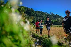 BIB: 
                            <button type="button" onclick="openModal(26572403)" class="btn btn-primary btn-sm float-right btn-popup" data-toggle="modal" data-target=".modal-high-quality">
                        <i class="fas fa-shopping-cart"></i> Add to Cart
                    </button>
                                            <button type="button" onclick="isThisMe(26572403, true)" class="btn btn-success btn-sm float-right btn-popup btn-isme hidden" data-toggle="tooltip" data-placement="bottom" title="นี่คือรูปของคุณใช่ไหม คลิกที่นี่เพื่อเอาเข้าอัลบั้ม">
                        <i class="fas fa-plus"></i> Add to album
                    </button>
                    <button type="button" onclick="isThisMe(26572403, false)" class="btn btn-warning btn-sm float-right btn-popup btn-isnotme hidden">
                        <i class="fas fa-ban"></i> Remove from album
                    </button>