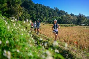 BIB: 
                            <button type="button" onclick="openModal(26571360)" class="btn btn-primary btn-sm float-right btn-popup" data-toggle="modal" data-target=".modal-high-quality">
                        <i class="fas fa-shopping-cart"></i> Add to Cart
                    </button>
                                            <button type="button" onclick="isThisMe(26571360, true)" class="btn btn-success btn-sm float-right btn-popup btn-isme hidden" data-toggle="tooltip" data-placement="bottom" title="นี่คือรูปของคุณใช่ไหม คลิกที่นี่เพื่อเอาเข้าอัลบั้ม">
                        <i class="fas fa-plus"></i> Add to album
                    </button>
                    <button type="button" onclick="isThisMe(26571360, false)" class="btn btn-warning btn-sm float-right btn-popup btn-isnotme hidden">
                        <i class="fas fa-ban"></i> Remove from album
                    </button>