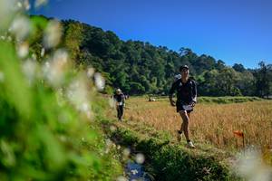 BIB: 
                            <button type="button" onclick="openModal(26572156)" class="btn btn-primary btn-sm float-right btn-popup" data-toggle="modal" data-target=".modal-high-quality">
                        <i class="fas fa-shopping-cart"></i> Add to Cart
                    </button>
                                            <button type="button" onclick="isThisMe(26572156, true)" class="btn btn-success btn-sm float-right btn-popup btn-isme hidden" data-toggle="tooltip" data-placement="bottom" title="นี่คือรูปของคุณใช่ไหม คลิกที่นี่เพื่อเอาเข้าอัลบั้ม">
                        <i class="fas fa-plus"></i> Add to album
                    </button>
                    <button type="button" onclick="isThisMe(26572156, false)" class="btn btn-warning btn-sm float-right btn-popup btn-isnotme hidden">
                        <i class="fas fa-ban"></i> Remove from album
                    </button>