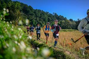 BIB: 
                            <button type="button" onclick="openModal(26576080)" class="btn btn-primary btn-sm float-right btn-popup" data-toggle="modal" data-target=".modal-high-quality">
                        <i class="fas fa-shopping-cart"></i> Add to Cart
                    </button>
                                            <button type="button" onclick="isThisMe(26576080, true)" class="btn btn-success btn-sm float-right btn-popup btn-isme hidden" data-toggle="tooltip" data-placement="bottom" title="นี่คือรูปของคุณใช่ไหม คลิกที่นี่เพื่อเอาเข้าอัลบั้ม">
                        <i class="fas fa-plus"></i> Add to album
                    </button>
                    <button type="button" onclick="isThisMe(26576080, false)" class="btn btn-warning btn-sm float-right btn-popup btn-isnotme hidden">
                        <i class="fas fa-ban"></i> Remove from album
                    </button>