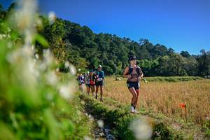 BIB: 
                            <button type="button" onclick="openModal(26572938)" class="btn btn-primary btn-sm float-right btn-popup" data-toggle="modal" data-target=".modal-high-quality">
                        <i class="fas fa-shopping-cart"></i> Add to Cart
                    </button>
                                            <button type="button" onclick="isThisMe(26572938, true)" class="btn btn-success btn-sm float-right btn-popup btn-isme hidden" data-toggle="tooltip" data-placement="bottom" title="นี่คือรูปของคุณใช่ไหม คลิกที่นี่เพื่อเอาเข้าอัลบั้ม">
                        <i class="fas fa-plus"></i> Add to album
                    </button>
                    <button type="button" onclick="isThisMe(26572938, false)" class="btn btn-warning btn-sm float-right btn-popup btn-isnotme hidden">
                        <i class="fas fa-ban"></i> Remove from album
                    </button>