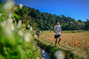 BIB: 
                            <button type="button" onclick="openModal(26572454)" class="btn btn-primary btn-sm float-right btn-popup" data-toggle="modal" data-target=".modal-high-quality">
                        <i class="fas fa-shopping-cart"></i> Add to Cart
                    </button>
                                            <button type="button" onclick="isThisMe(26572454, true)" class="btn btn-success btn-sm float-right btn-popup btn-isme hidden" data-toggle="tooltip" data-placement="bottom" title="นี่คือรูปของคุณใช่ไหม คลิกที่นี่เพื่อเอาเข้าอัลบั้ม">
                        <i class="fas fa-plus"></i> Add to album
                    </button>
                    <button type="button" onclick="isThisMe(26572454, false)" class="btn btn-warning btn-sm float-right btn-popup btn-isnotme hidden">
                        <i class="fas fa-ban"></i> Remove from album
                    </button>