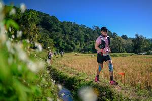 BIB: 
                            <button type="button" onclick="openModal(26574996)" class="btn btn-primary btn-sm float-right btn-popup" data-toggle="modal" data-target=".modal-high-quality">
                        <i class="fas fa-shopping-cart"></i> Add to Cart
                    </button>
                                            <button type="button" onclick="isThisMe(26574996, true)" class="btn btn-success btn-sm float-right btn-popup btn-isme hidden" data-toggle="tooltip" data-placement="bottom" title="นี่คือรูปของคุณใช่ไหม คลิกที่นี่เพื่อเอาเข้าอัลบั้ม">
                        <i class="fas fa-plus"></i> Add to album
                    </button>
                    <button type="button" onclick="isThisMe(26574996, false)" class="btn btn-warning btn-sm float-right btn-popup btn-isnotme hidden">
                        <i class="fas fa-ban"></i> Remove from album
                    </button>