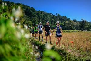 BIB: 
                            <button type="button" onclick="openModal(26575570)" class="btn btn-primary btn-sm float-right btn-popup" data-toggle="modal" data-target=".modal-high-quality">
                        <i class="fas fa-shopping-cart"></i> Add to Cart
                    </button>
                                            <button type="button" onclick="isThisMe(26575570, true)" class="btn btn-success btn-sm float-right btn-popup btn-isme hidden" data-toggle="tooltip" data-placement="bottom" title="นี่คือรูปของคุณใช่ไหม คลิกที่นี่เพื่อเอาเข้าอัลบั้ม">
                        <i class="fas fa-plus"></i> Add to album
                    </button>
                    <button type="button" onclick="isThisMe(26575570, false)" class="btn btn-warning btn-sm float-right btn-popup btn-isnotme hidden">
                        <i class="fas fa-ban"></i> Remove from album
                    </button>