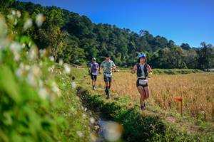 BIB: 
                            <button type="button" onclick="openModal(26571575)" class="btn btn-primary btn-sm float-right btn-popup" data-toggle="modal" data-target=".modal-high-quality">
                        <i class="fas fa-shopping-cart"></i> Add to Cart
                    </button>
                                            <button type="button" onclick="isThisMe(26571575, true)" class="btn btn-success btn-sm float-right btn-popup btn-isme hidden" data-toggle="tooltip" data-placement="bottom" title="นี่คือรูปของคุณใช่ไหม คลิกที่นี่เพื่อเอาเข้าอัลบั้ม">
                        <i class="fas fa-plus"></i> Add to album
                    </button>
                    <button type="button" onclick="isThisMe(26571575, false)" class="btn btn-warning btn-sm float-right btn-popup btn-isnotme hidden">
                        <i class="fas fa-ban"></i> Remove from album
                    </button>